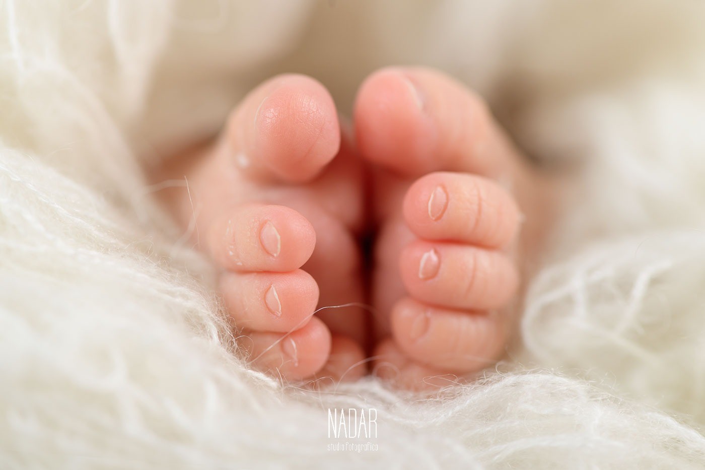 dettaglio dei piedini di un neonato durante un servizio fotografico in studio